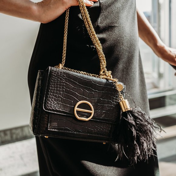 Celine Dion Sonata Crossbody - Picture 1 of 5